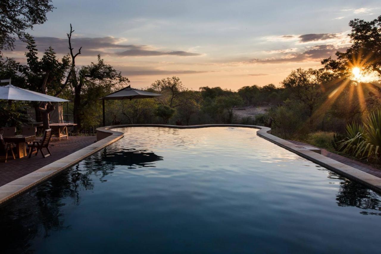 Milima Big 5 Safari Lodge Hoedspruit Bagian luar foto