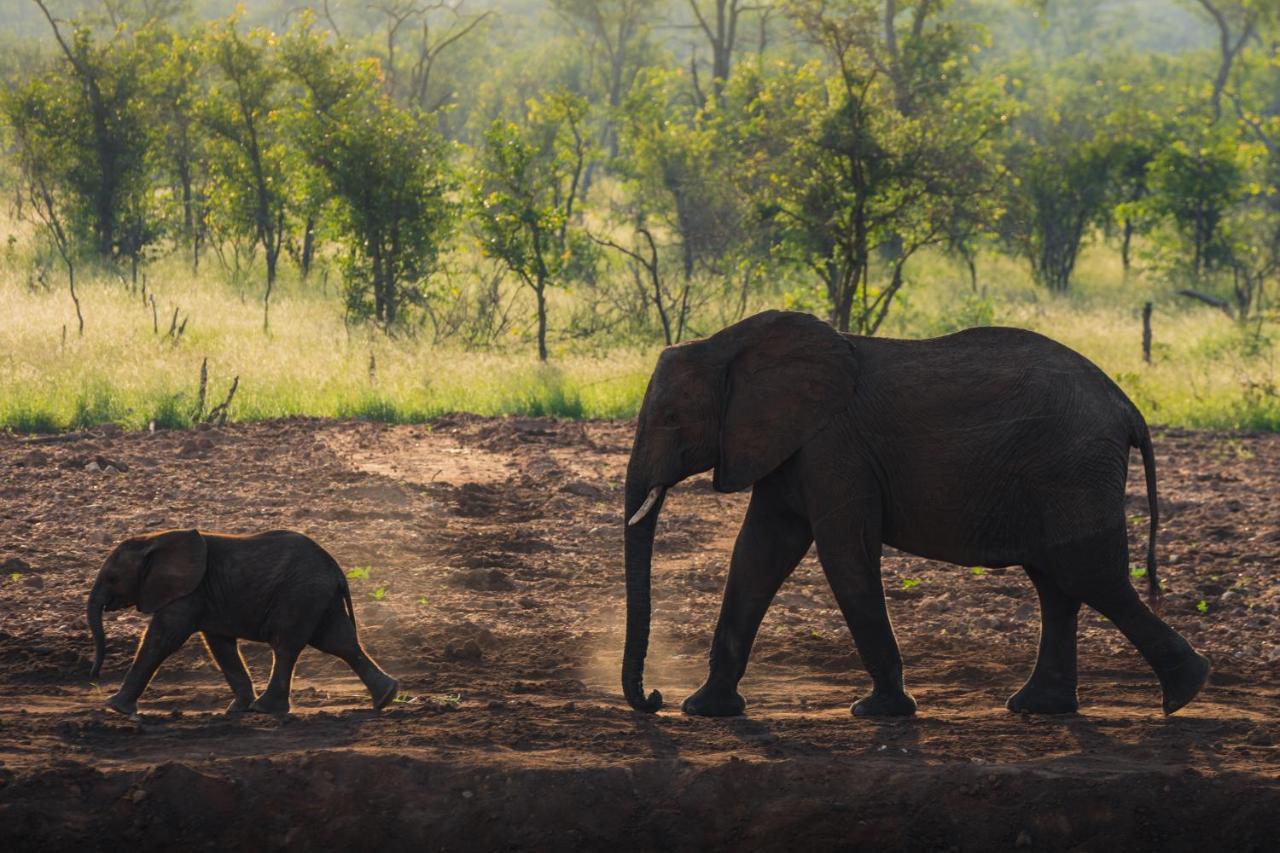 Milima Big 5 Safari Lodge Hoedspruit Bagian luar foto