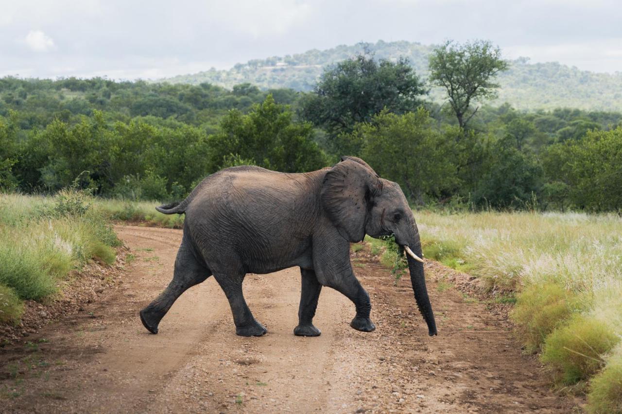 Milima Big 5 Safari Lodge Hoedspruit Bagian luar foto