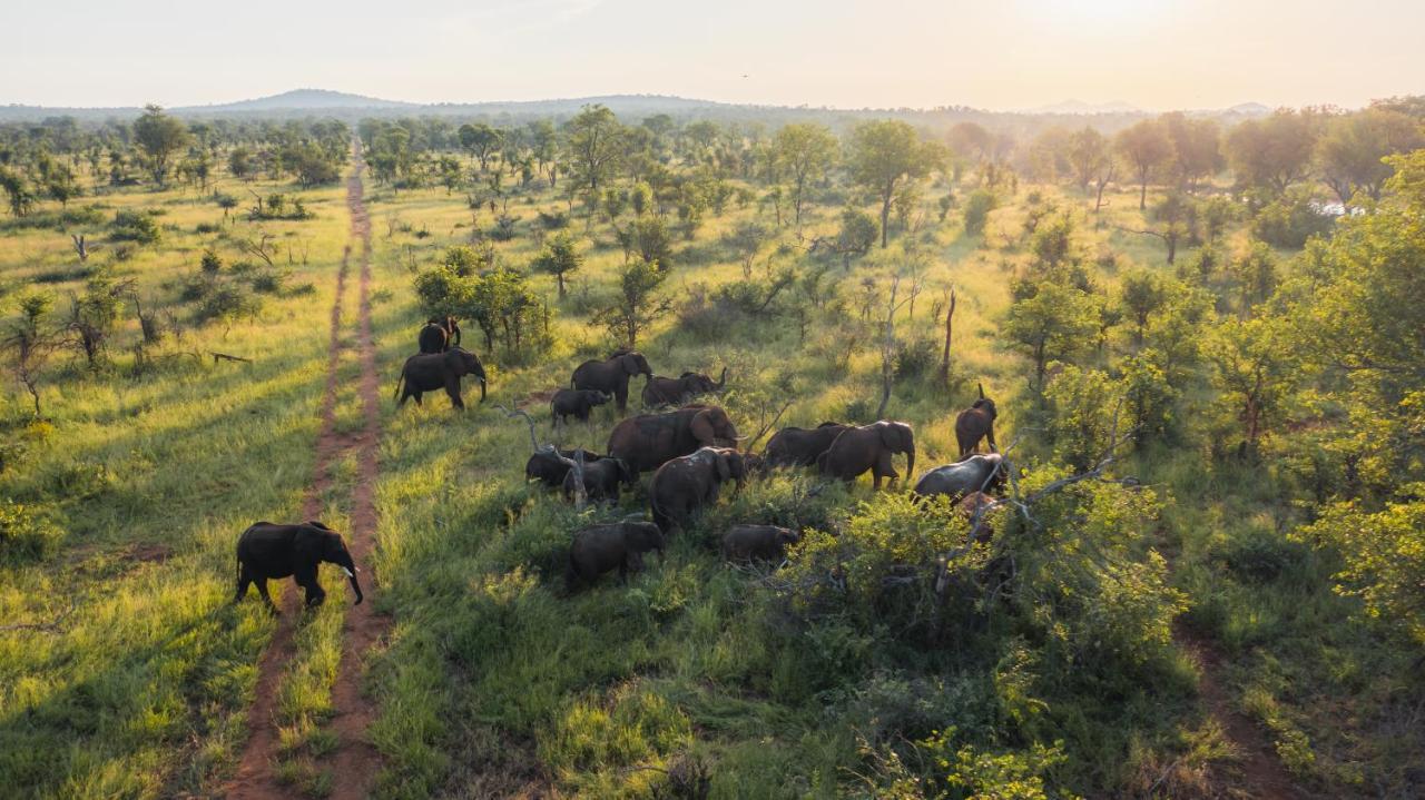Milima Big 5 Safari Lodge Hoedspruit Bagian luar foto